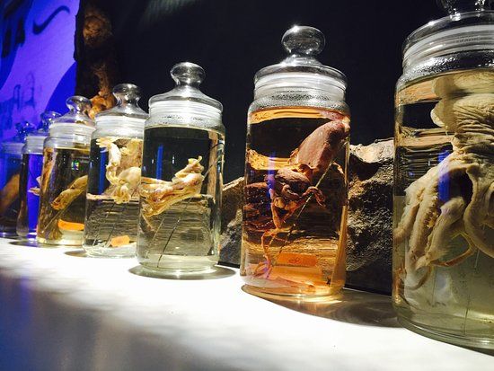 el Parque de la Vida